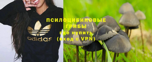 тгк Мегион