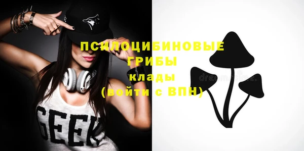 тгк Мегион