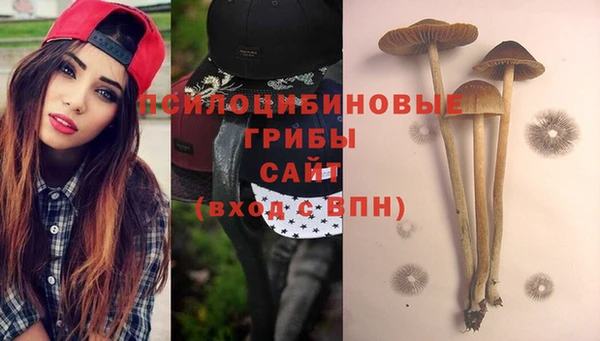 ECSTASY Медногорск