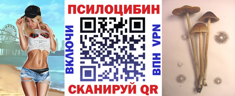 Галлюциногенные грибы прущие грибы МЕГА рабочий сайт Дмитровск